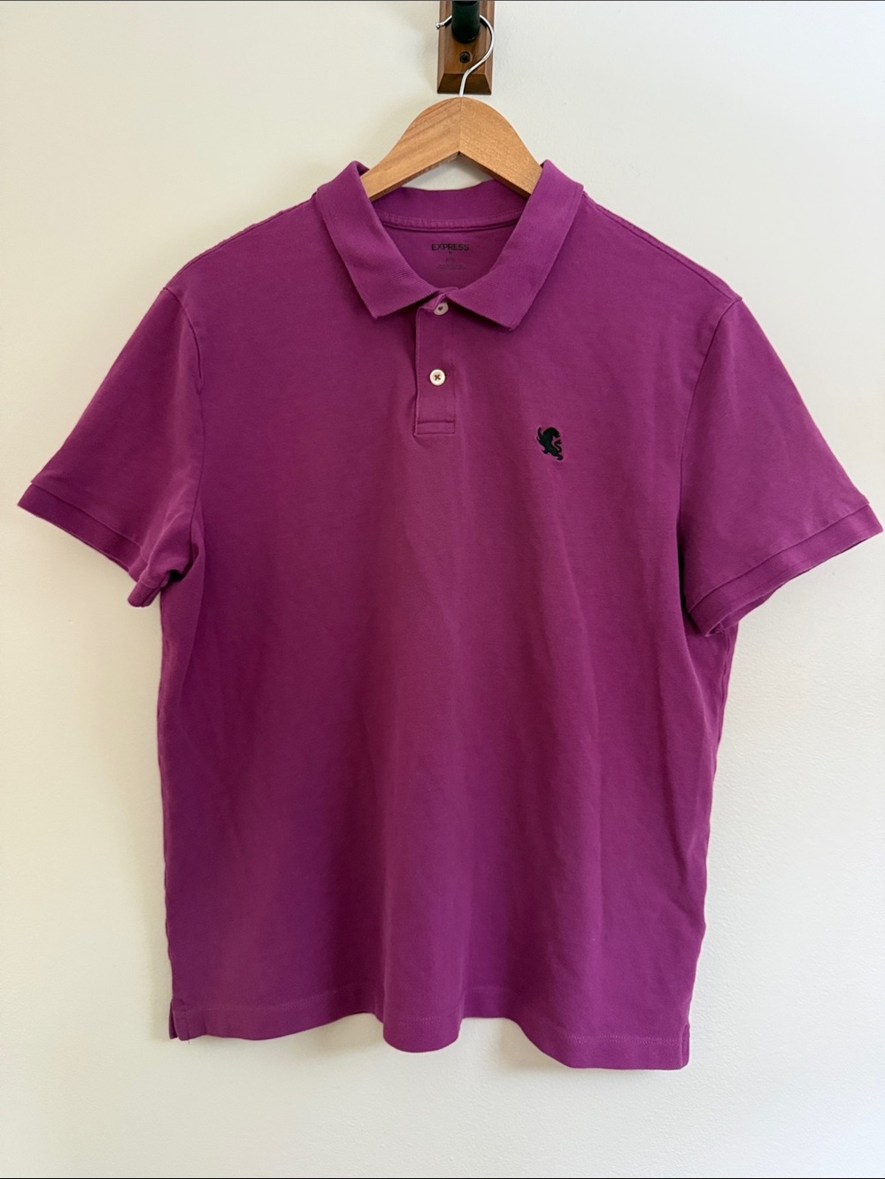Express Men's Magenta Polo Shirt with Embroidered Logo